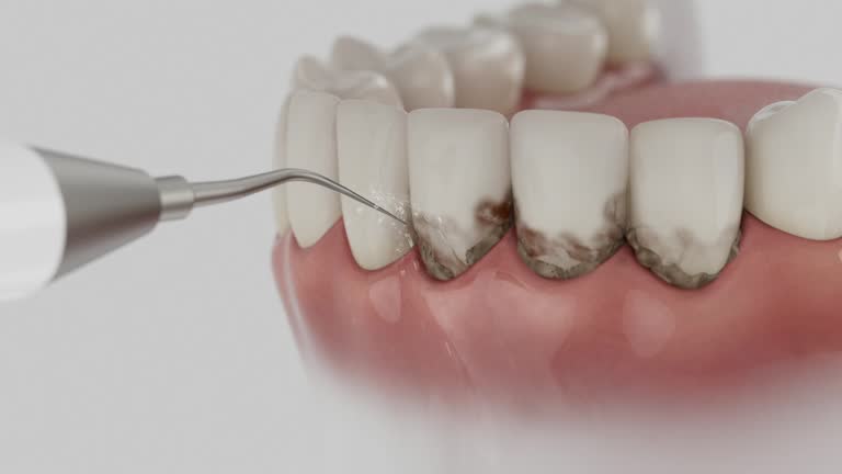 Reliable Dental contractor in Marshallville, GA by Dentist Open Now